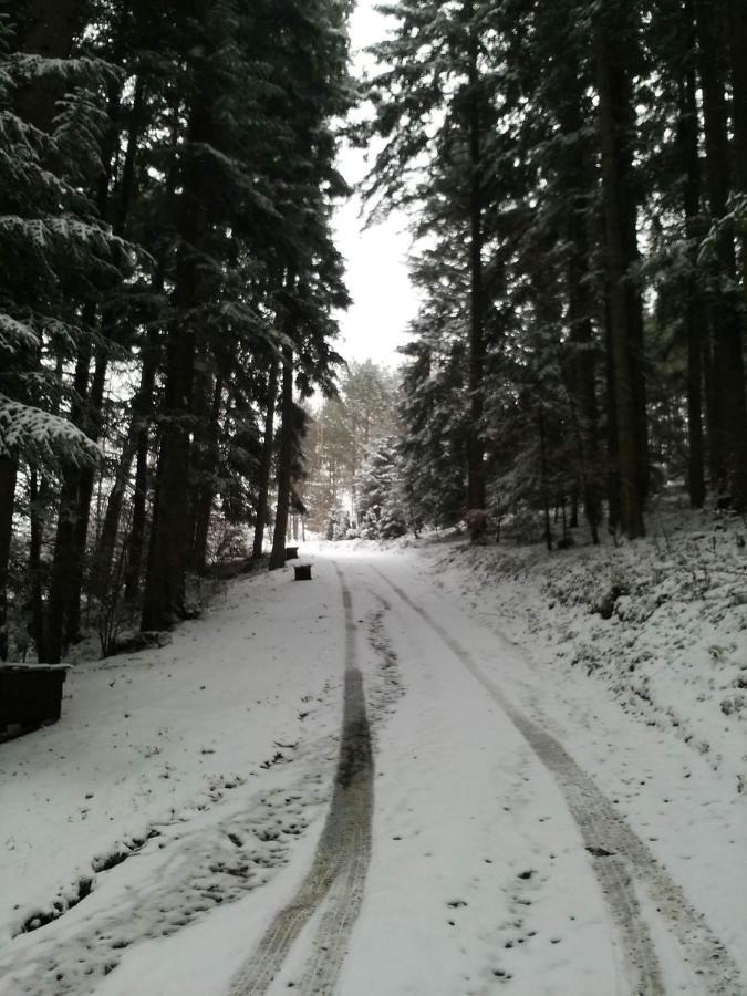 Willa Domek Na Górce Bieszczady Lesko Zewnętrze zdjęcie