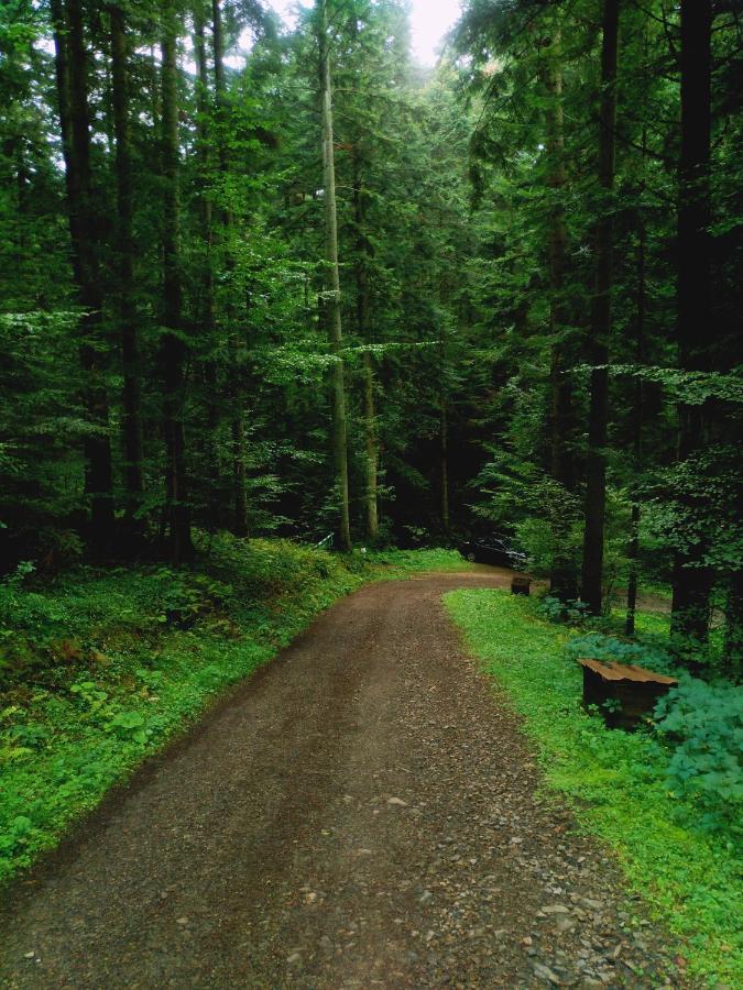 Domek Na Górce Bieszczady Lesko Zewnętrze zdjęcie