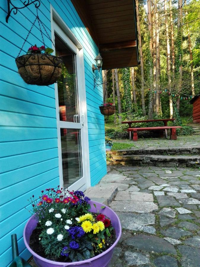 Domek Na Górce Bieszczady Lesko Zewnętrze zdjęcie